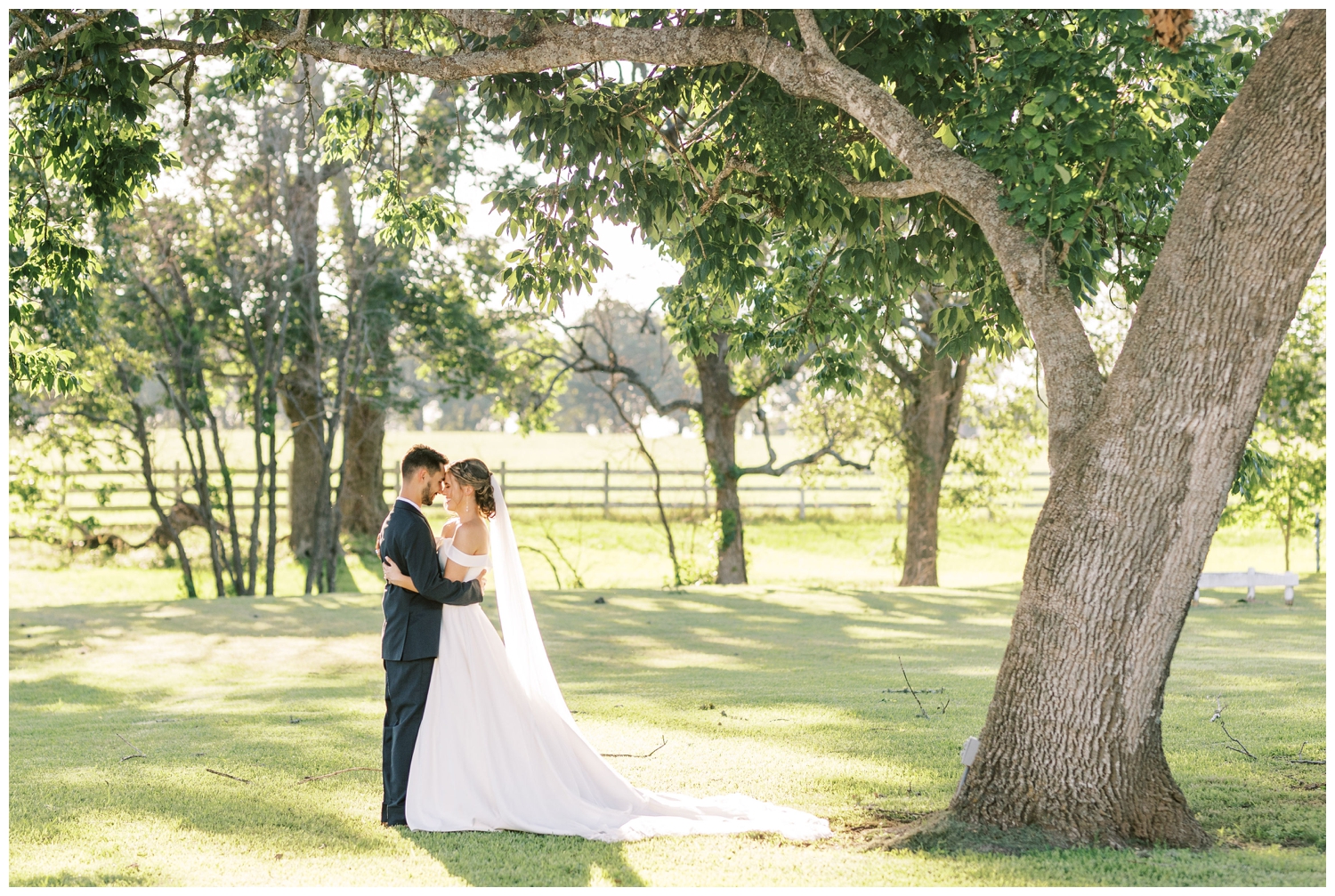 bride and groom nuzzle under tree at The Grand Texana