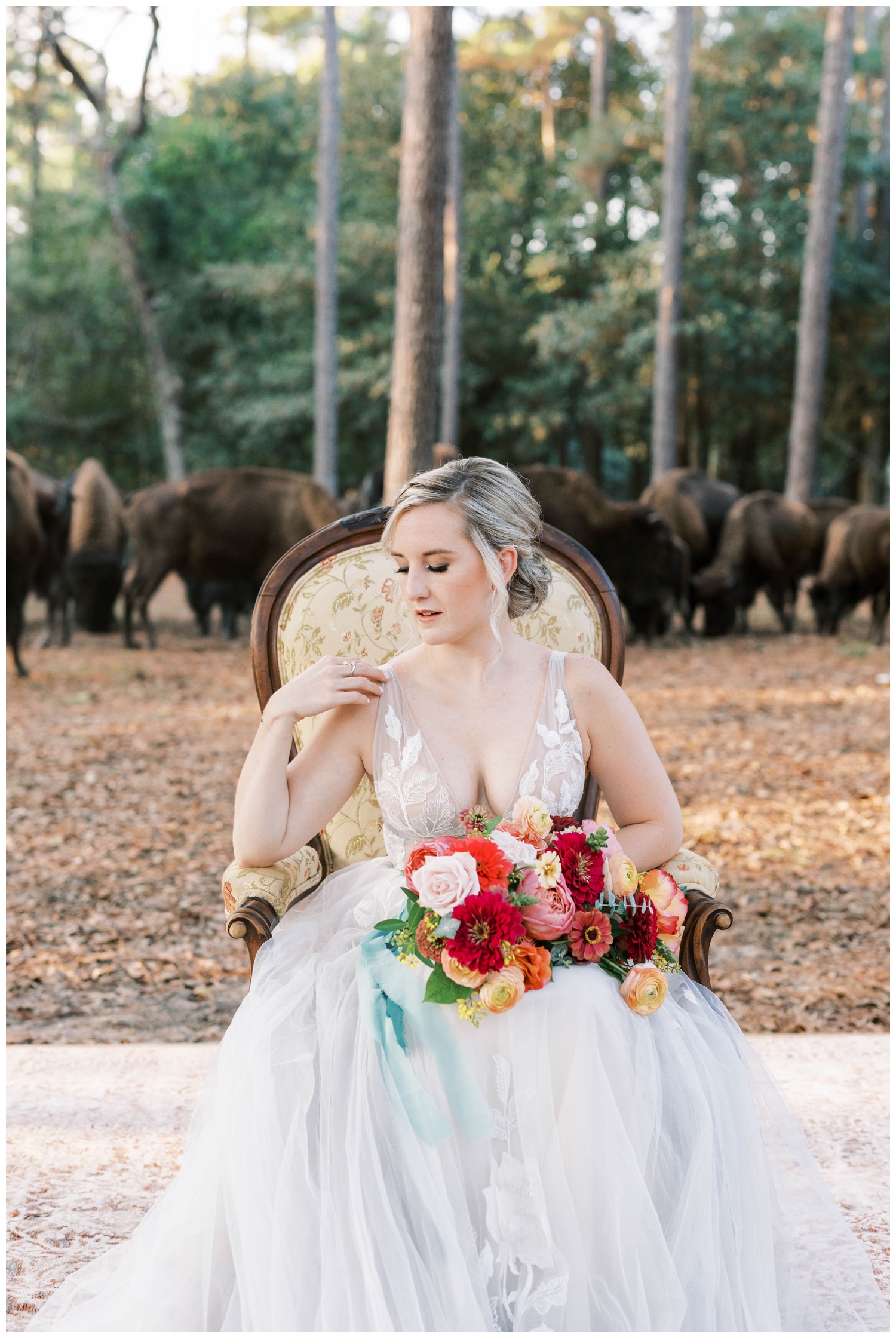 bride sitting in chair surrounded by buffalo at The Annex Wedding Venue