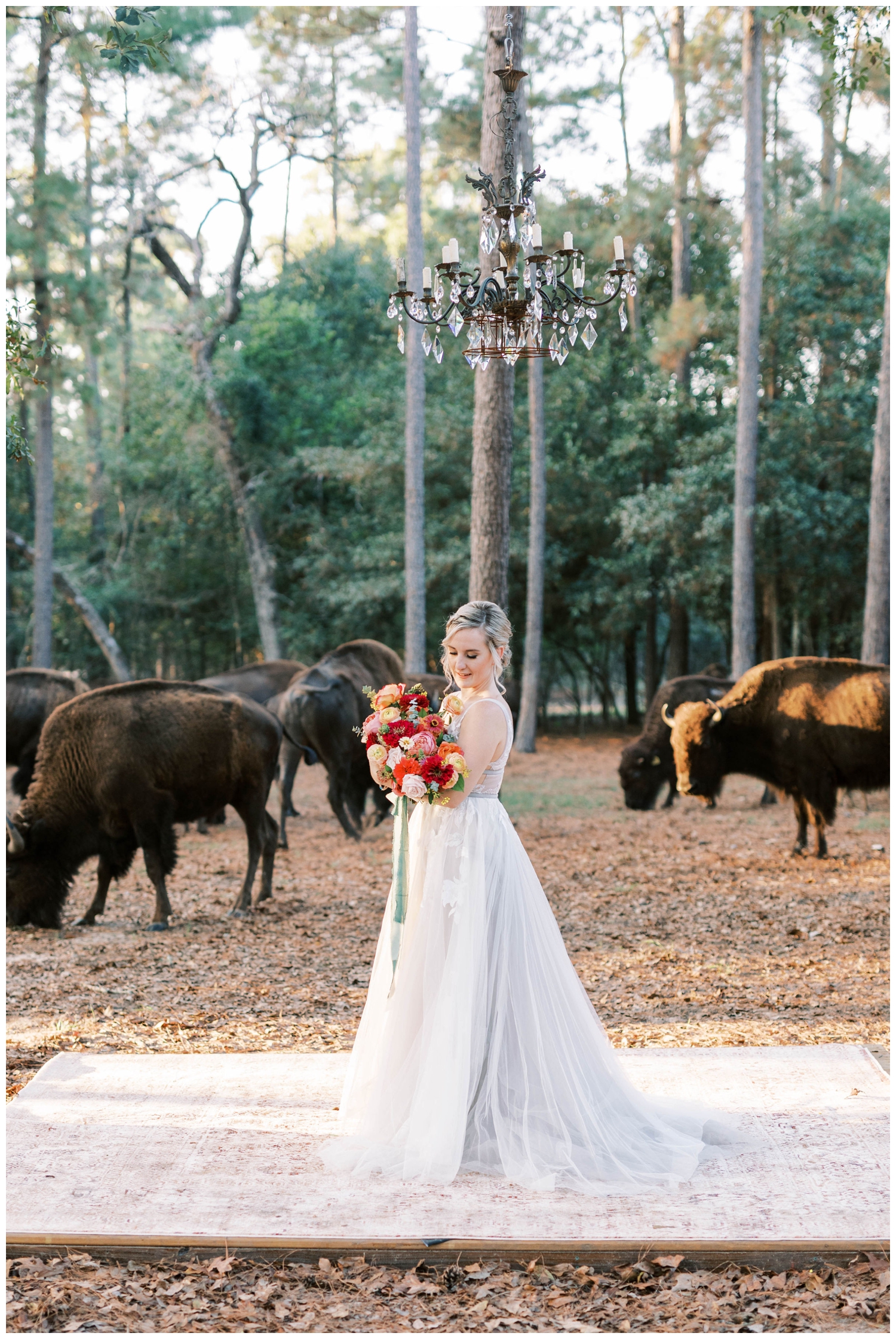 The Annex Wedding venue where bride is outdoors under a chandelier by buffalo