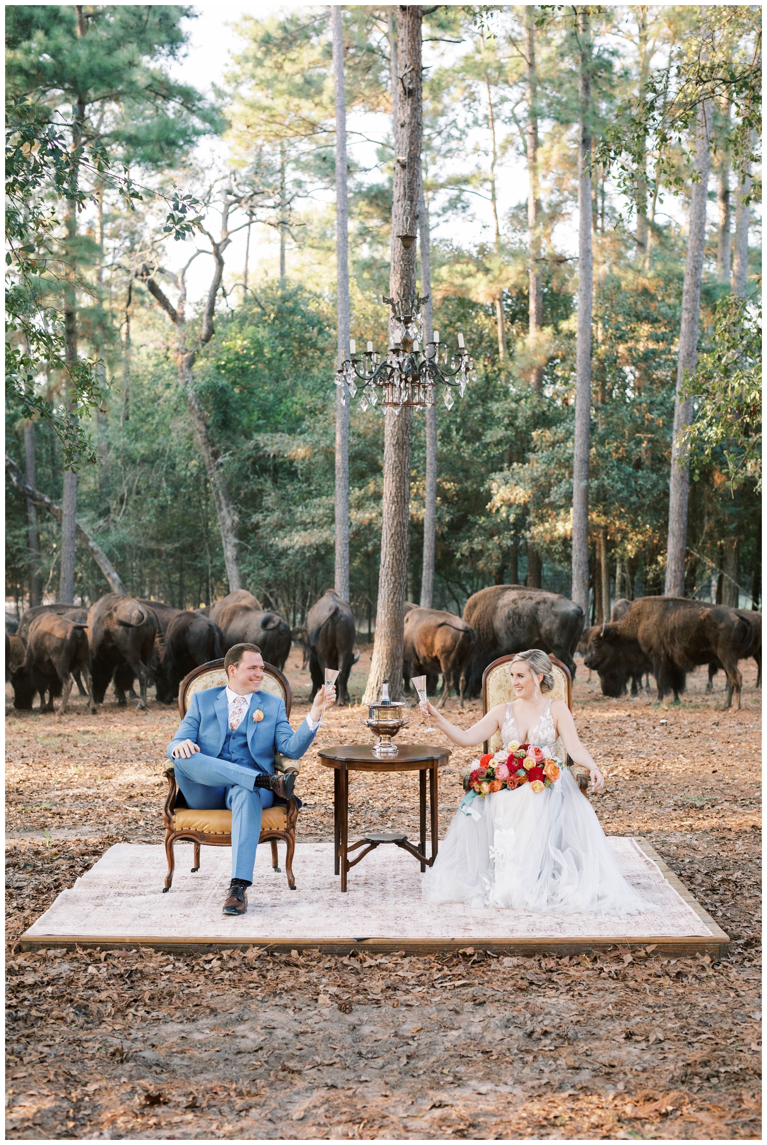 bride and groom surrounded by buffalo toasting at The Annex Wedding venue