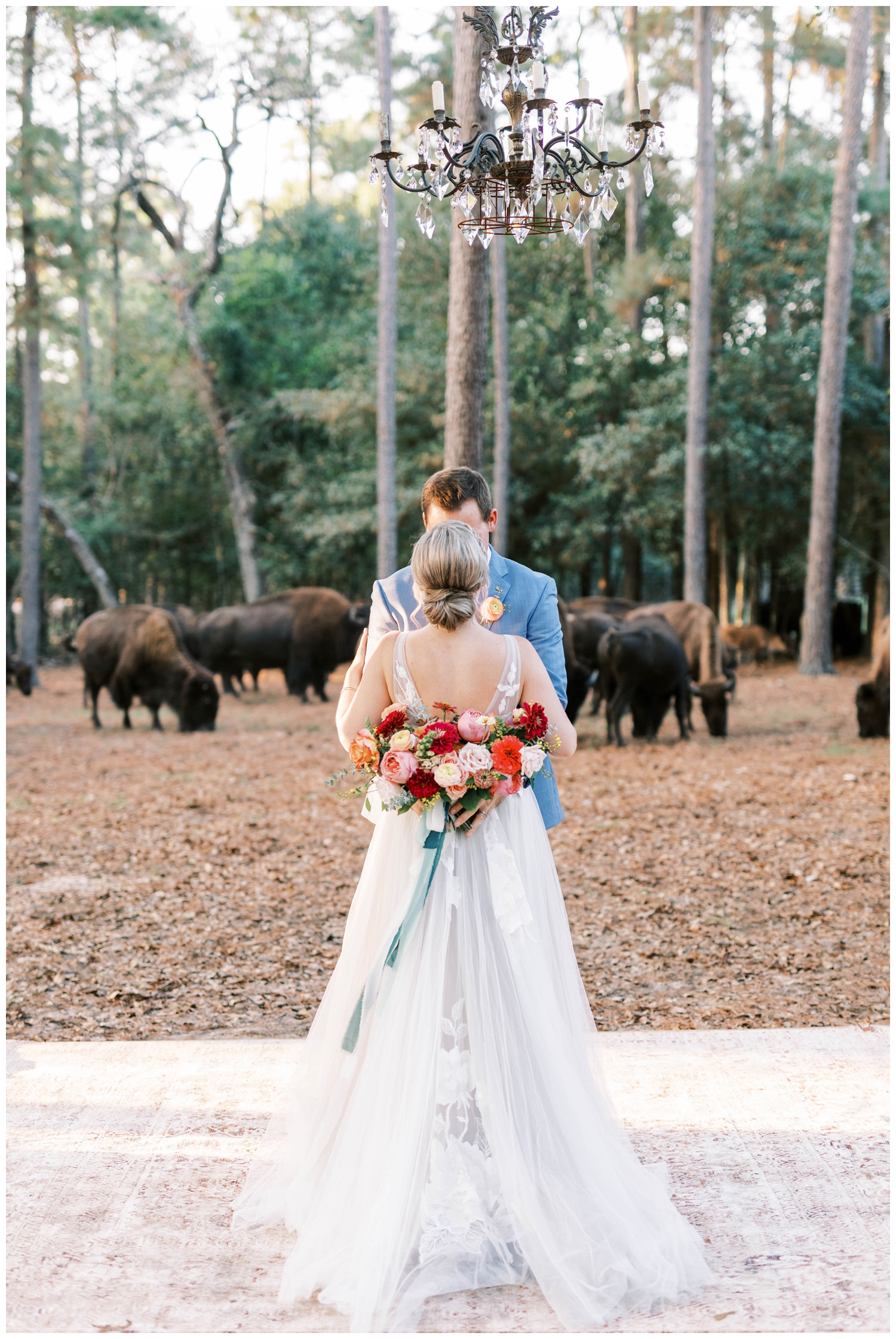 buffalo surrounding bride and groom for portraits The Annex Wedding venue