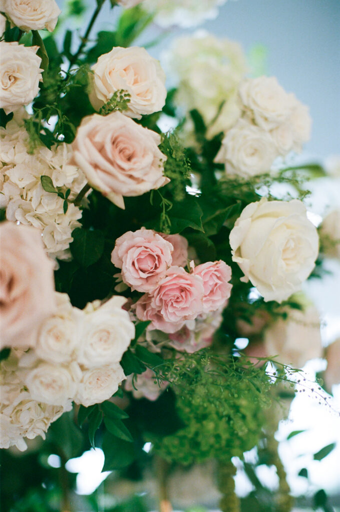 Close up of blush and white roses in the reception florals, photographed on film